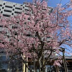 グランディア芳泉 - 