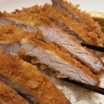 紀尾井町 とんかつ・洋食ひとみ - カツ