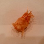 天ぷら 大塚 - 海老の頭