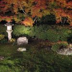 竹情荘 - 天得院のライトアップ(2012.12)