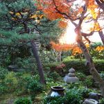 竹情荘 - 中庭(2012.12)