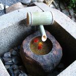 竹情荘 - 光明院の蹲(2012.12)