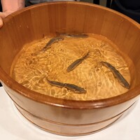 神田明神下 みやび - あゆが天ぷらになる前