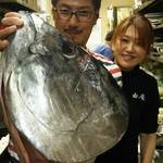 丼彩酒楽 由庵 - 本マグロ