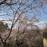 柿の葉すし ひょうたろう - 