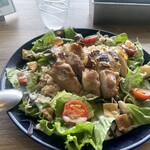 cafe&dining blue terminal - 
