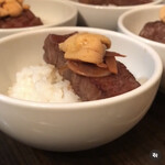 SATOブリアン - 