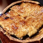 炭焼きうなぎ・かしわ 登河 - ひつまぶし