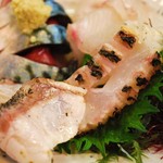 すごろく - グレとイシガキダイのお刺身（タタキ）