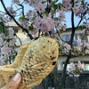 鎌倉 浪花家 - 