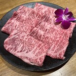 Wagyu Matsushita Kamidoori ten - 