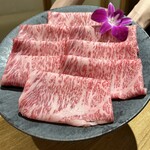 Wagyu Matsushita Kamidoori ten - 