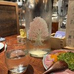 三茶 ユキツバキ - 
