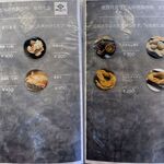 煮豚月見うどん - メニュー,煮豚月見うどん中西製作所安城本店(愛知県安城市)TMGP撮影