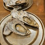 手羽先とかきをもっと自由に 大衆酒場 HANEGAKI - 
