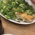 ひろしまギョウザ produced by 餃子家 龍 - 