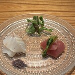 松濤 爛缶 - 