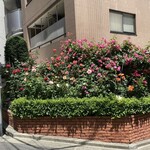 モナリザ - 