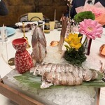 金鯉 - 
