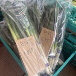 ふれっしゅふーどいやさか - 