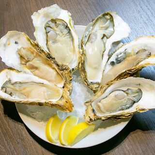 旬鮮酒場いらっしゃい!_0