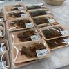 肉のくすの木 - 