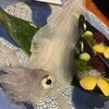 河太郎 - 
