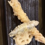 つくつくぼうし - 