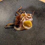 nomad - 