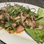 アヨタヤ - ムーナムトック(豚肉のハーブサラダ)