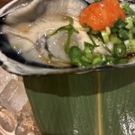 貝と魚と炉ばたのバンビ - 