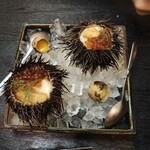 新潟之飯與酒 Horoyoine 新潟站前店 - 