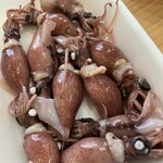 角上魚類 - 料理写真:202604