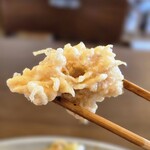 もみの木 - 