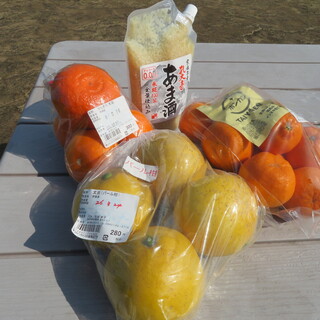 道の駅むなかた_1