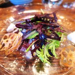 ラ・ルーチェ - メジナのカルパッチョ  白子添え
  長芋のマリネ、金柑