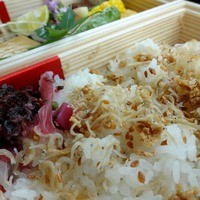 京かのこ - 【2013年6月】