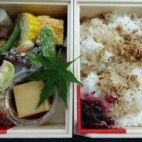 京かのこ - 【2013年6月】