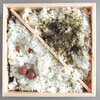 プラスタベントー - 料理写真:とん蝶（折箱）