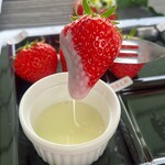 多度グリーンファーム - 