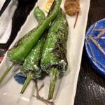 割烹BAR まつり - 