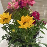 イトーヨーカドー - 料理写真: