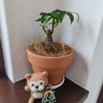 豆腐ドーナツ えいど - 