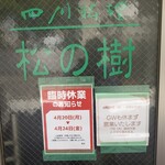 松の樹 - 