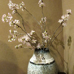 丸太町十二段家 - 