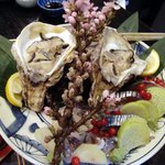 新和食 きくい - お造り盛り合わせ3人前