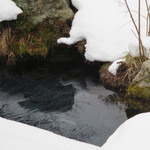 比良山荘 - 冬、厳しい環境の鯉の味は清らかで