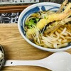 お福さんのひっぱりうどん - 料理写真:ごぼう海老天うどん