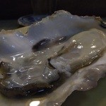 真魚 - プリップリの岩牡蠣♪