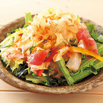 Sakanaya Dojo Salad [choice of dressing]